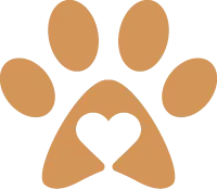 Run a Muk Boarding Run a Muk Boarding