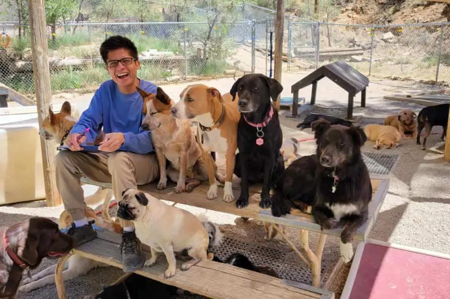 The Benefits of Outdoor Daycare and Training for Dogs - Embracing Rules, Bondardies, and Command and Response